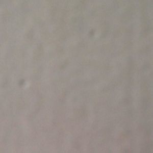 Meet your Posher, Nigel